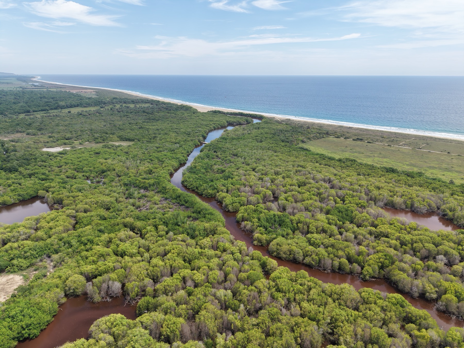 El estero serpentea entre el manglar hacia la playa y el mar